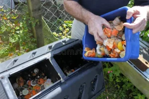 Food Waste and Food Loss
